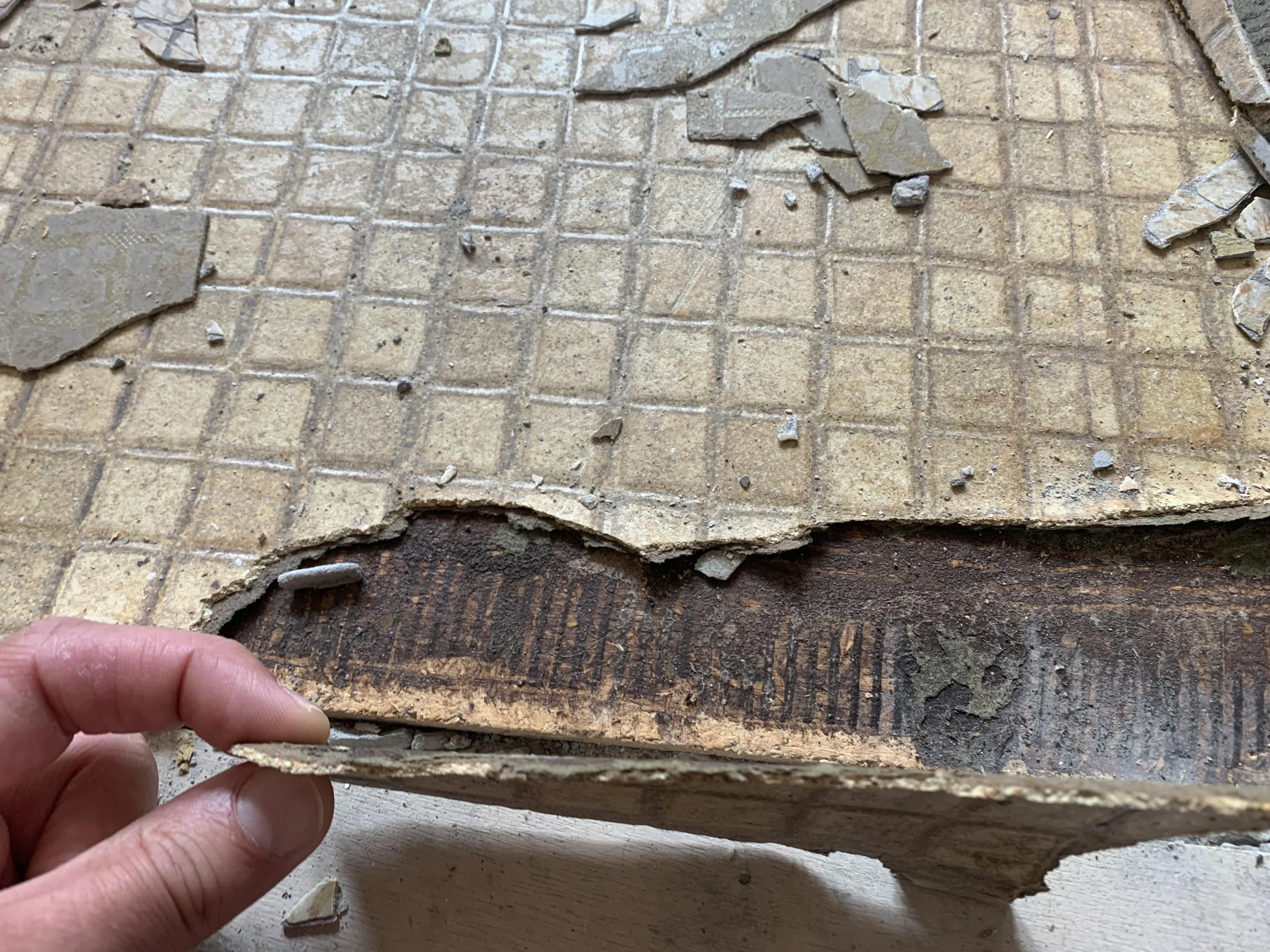 Asbestos Vinyl Floor Removal Auckland - The Crew Asbestos